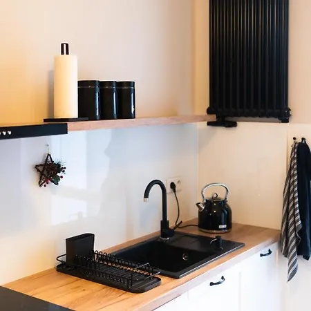 U Siemienia Apartment *