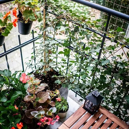 Apartman U Siemienia *