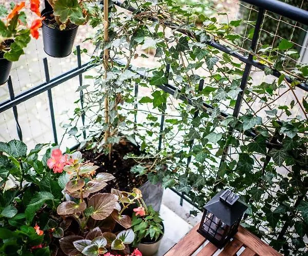 شقة U Siemienia *